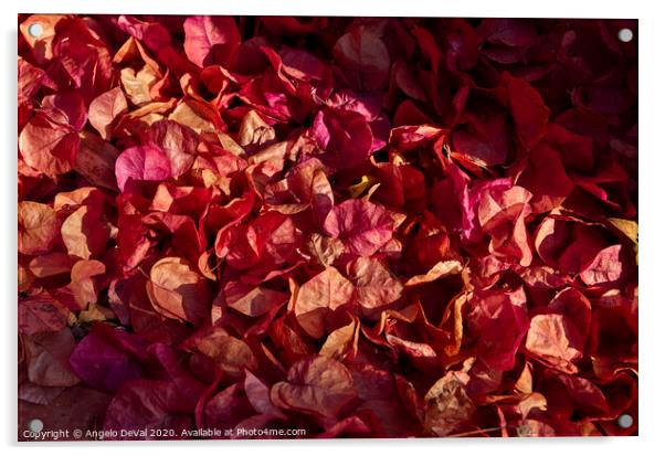 Mantle of Bougainvillea Flowers Acrylic by Angelo DeVal