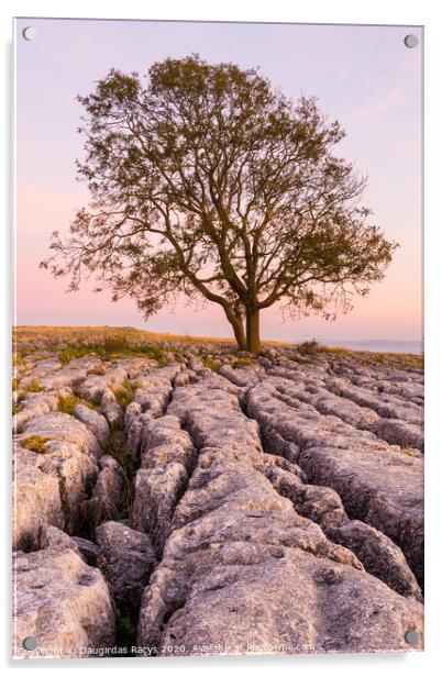 Lone tree and North Yorkshire rocks Acrylic by Daugirdas Racys