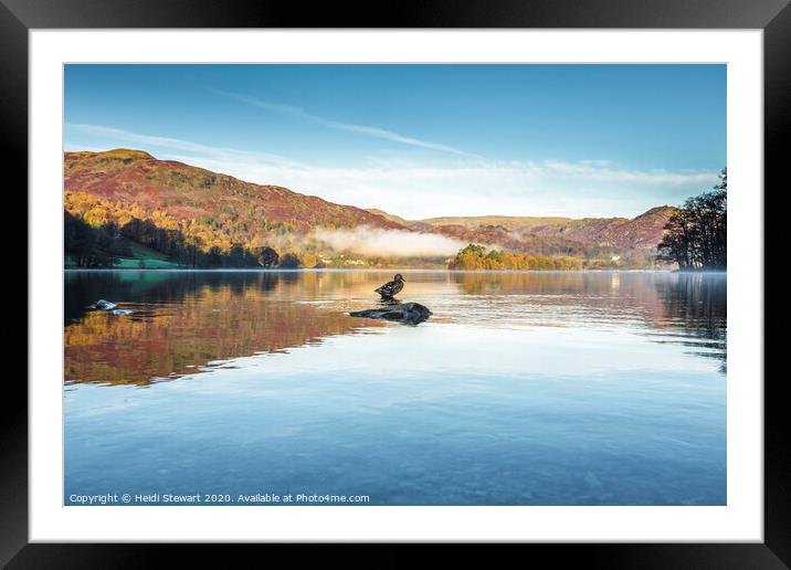 Grasmere Lake and Duck Framed Mounted Print by Heidi Stewart