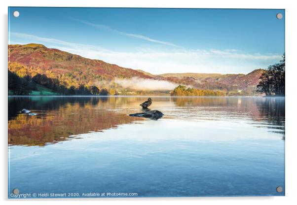 Grasmere Lake and Duck Acrylic by Heidi Stewart