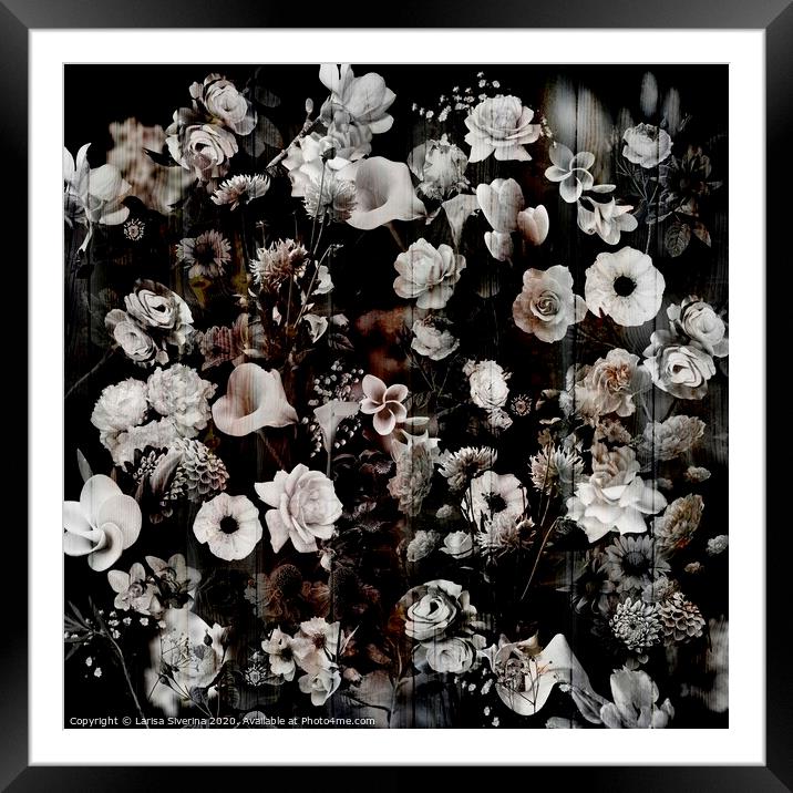Dark garden Framed Mounted Print by Larisa Siverina