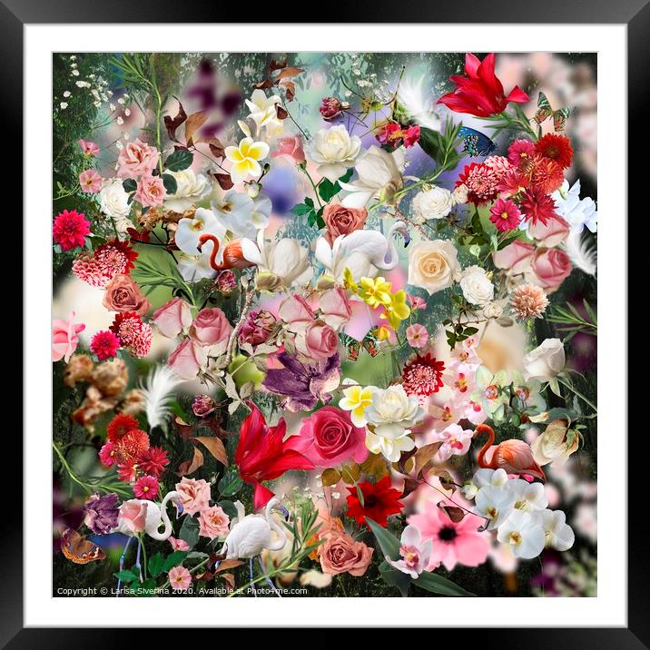 Floral collage Framed Mounted Print by Larisa Siverina