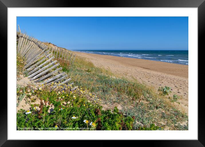 Dunes Wooden Fence Framed Mounted Print by Angelo DeVal