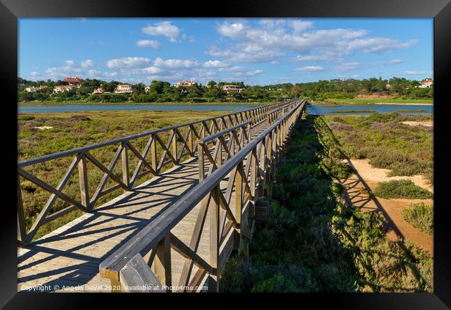 Sunny day and wooden bridge of Quinta do Lago Framed Print by Angelo DeVal