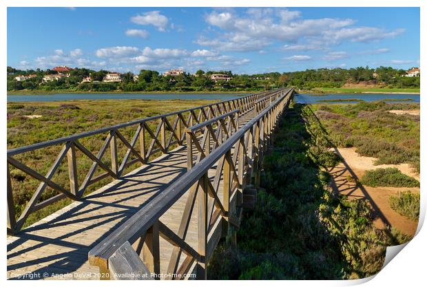 Sunny day and wooden bridge of Quinta do Lago Print by Angelo DeVal