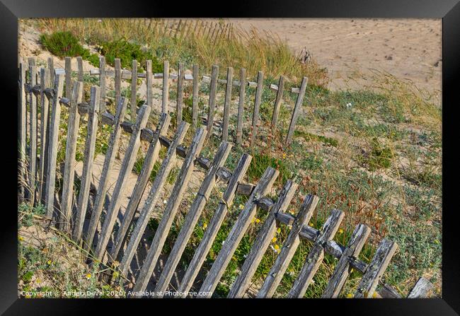 Dunes Fence in Algarve Beach Framed Print by Angelo DeVal