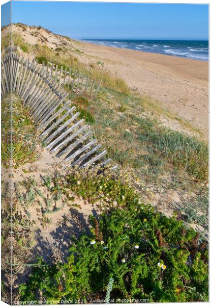 Dunes Wooden Fence in Quinta do Lago Canvas Print by Angelo DeVal
