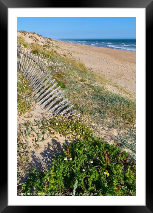 Dunes Wooden Fence in Quinta do Lago Framed Mounted Print by Angelo DeVal