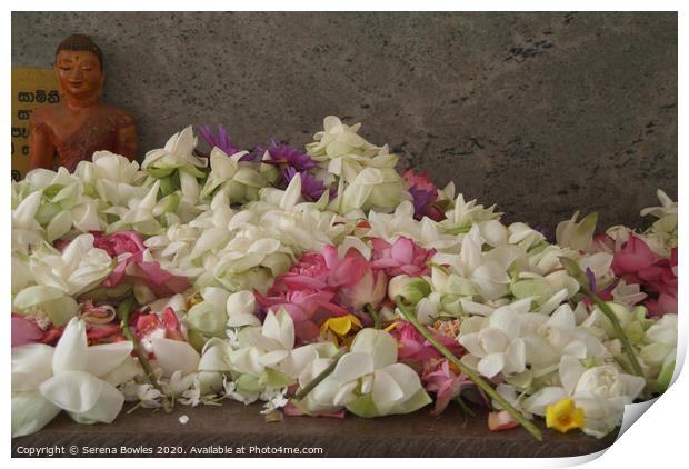 Floral Offerings Anuradhapura Print by Serena Bowles