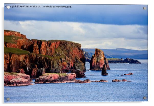 The Drongs Shetland Acrylic by Pearl Bucknall