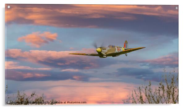 Spitfire Acrylic by David Belcher