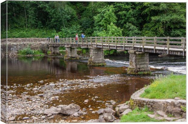 Serene Afternoon at Bolton Abbey Bridge Canvas Print by Holly Burgess