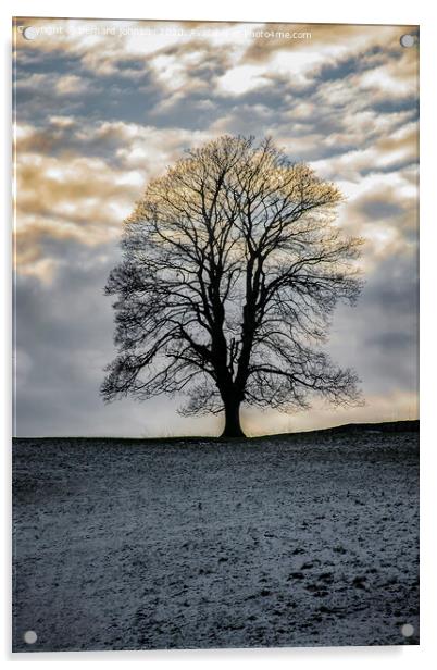 Lone tree Acrylic by bernard johnson
