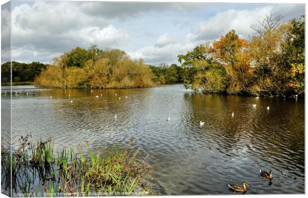 Connaught Water Epping Forest London Canvas Print by Diana Mower