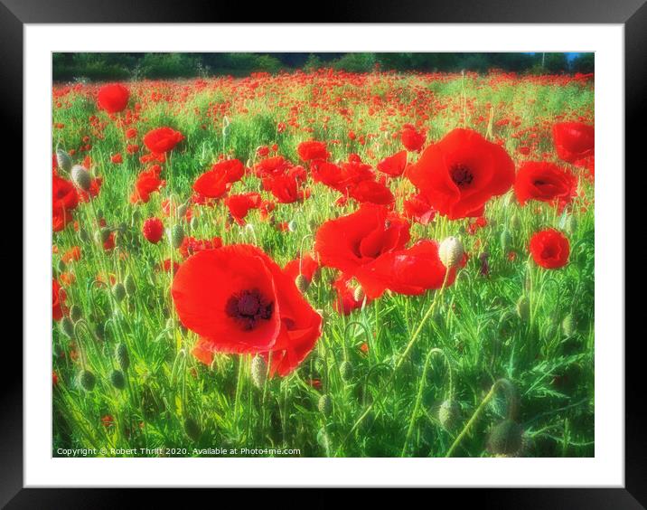 Poppies by Whitwell Wood Framed Mounted Print by Robert Thrift