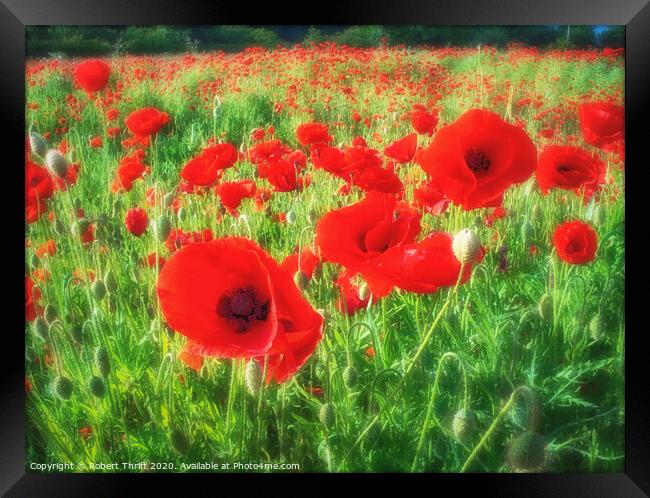 Poppies by Whitwell Wood Framed Print by Robert Thrift