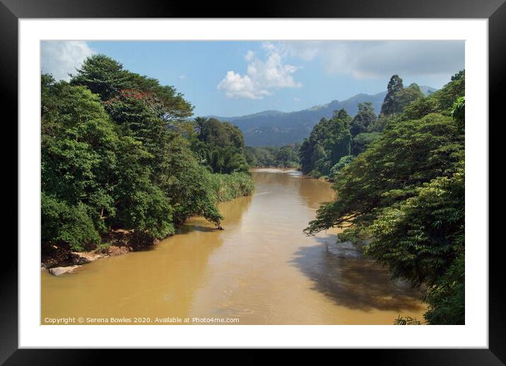 Kandy Botanical Gardens Framed Mounted Print by Serena Bowles
