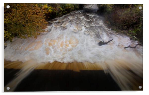 The river Twrch in Ystalyfera Acrylic by Leighton Collins
