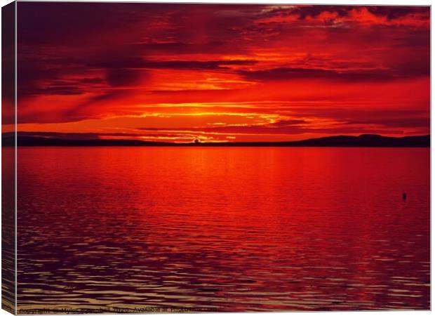 Dramatic red sunset over Orkney  Canvas Print by Myles Campbell
