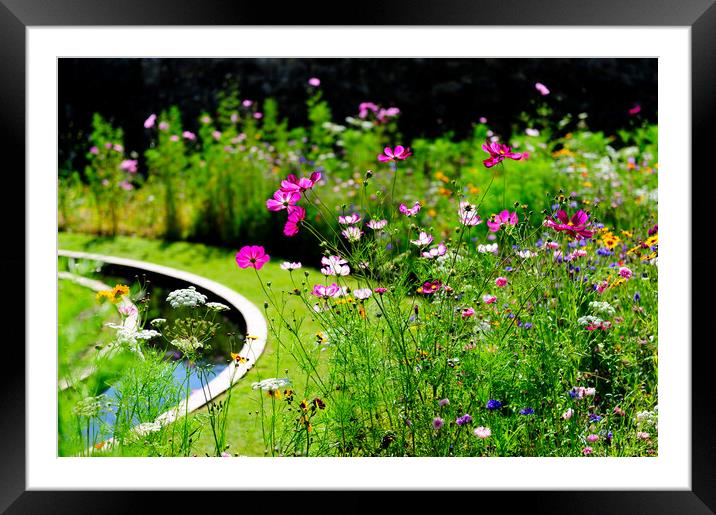 Wild Summer Framed Mounted Print by Richard Downs