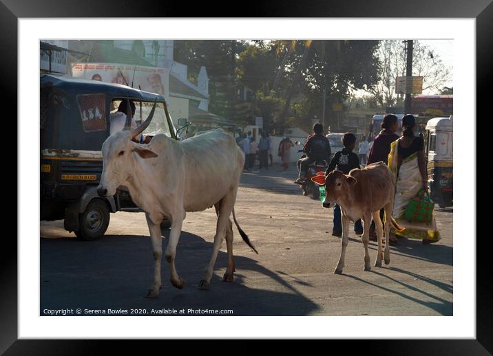 Street Scene Bijapur Framed Mounted Print by Serena Bowles