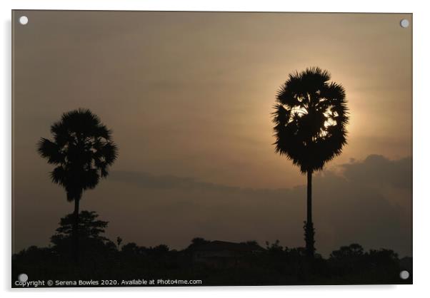 Sunset Palms Uppuveli Acrylic by Serena Bowles