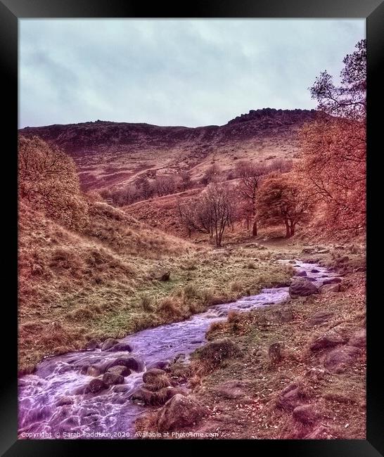 River at Dovestones in Autumn Framed Print by Sarah Paddison