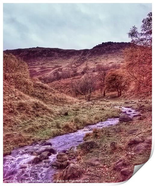 River at Dovestones in Autumn Print by Sarah Paddison