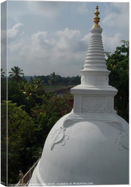 Stupa Top Anuradhapura Canvas Print by Serena Bowles