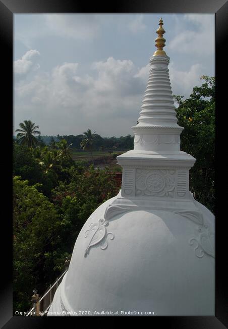 Stupa Top Anuradhapura Framed Print by Serena Bowles