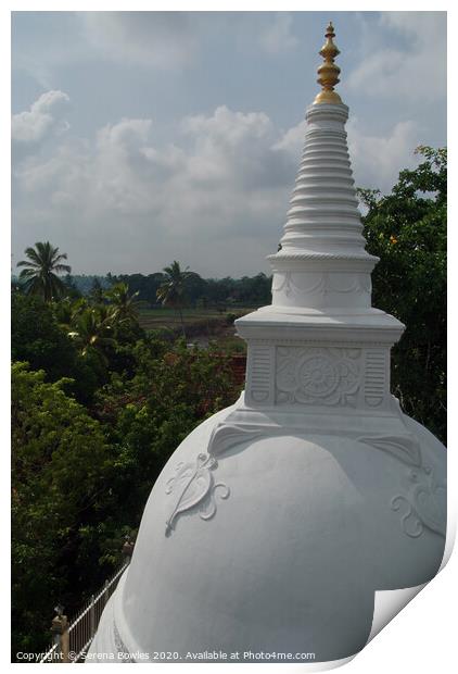 Stupa Top Anuradhapura Print by Serena Bowles