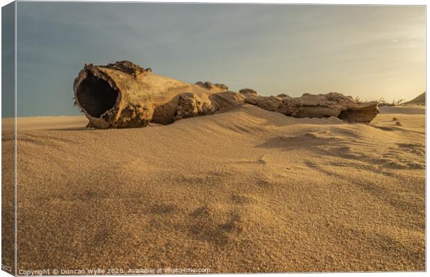 Newburgh Beach Canvas Print by Duncan Wyllie