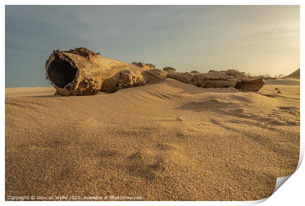 Newburgh Beach Print by Duncan Wyllie