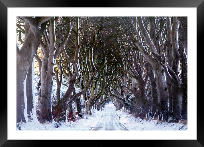 Snow at the Dark Hedges Framed Mounted Print by jim Hamilton