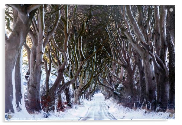 Snow at the Dark Hedges Acrylic by jim Hamilton