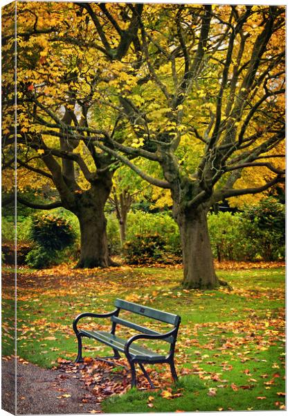 Autumn Bench Canvas Print by Darren Galpin