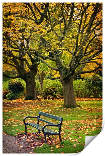 Autumn Bench Print by Darren Galpin