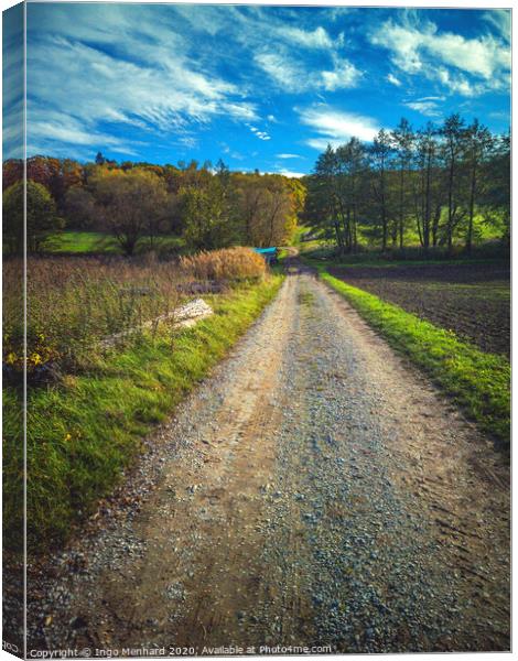 Walking the autumn countryroad Canvas Print by Ingo Menhard
