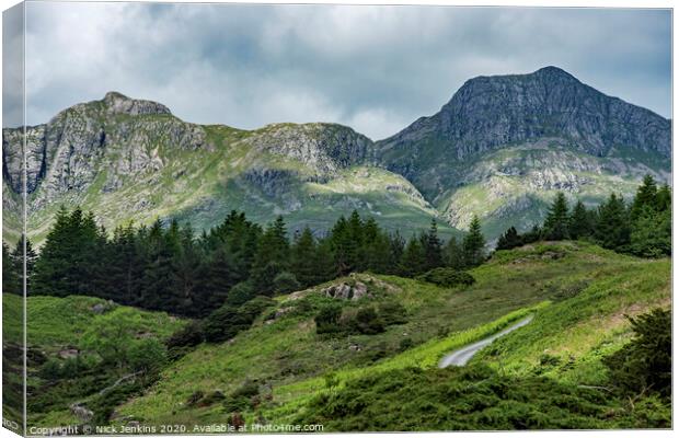 The Langdale Pikes Lake District National Park Canvas Print by Nick Jenkins