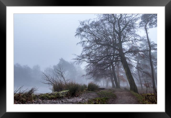Foggy Longshaw Pond Framed Mounted Print by Lisa Hands