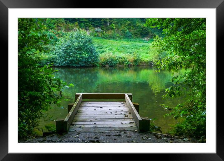 Ludlow jetty Framed Mounted Print by Lisa Hands