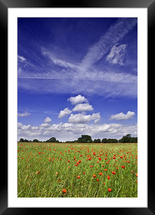 Fields of Red and Skies of Blue 2 Framed Mounted Print by Paul Macro