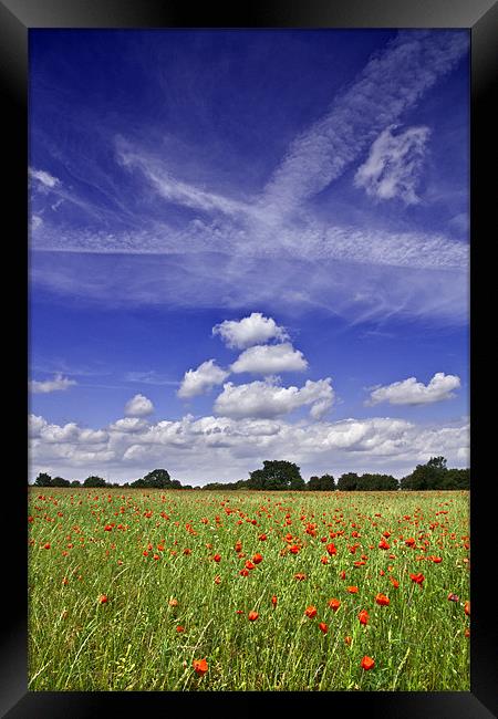 Fields of Red and Skies of Blue 2 Framed Print by Paul Macro