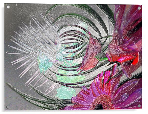 pink petal Acrylic by joseph finlow canvas and prints