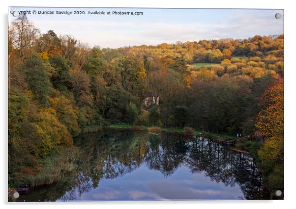Tucking Mill Lake Autumn reflection Acrylic by Duncan Savidge