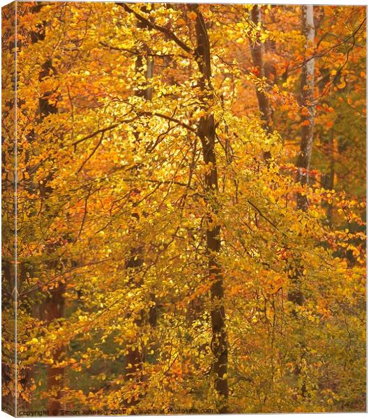 Autumn Colour  Canvas Print by Simon Johnson