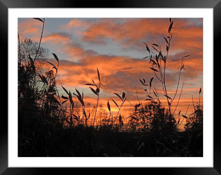 Sunset over Darlington Framed Mounted Print by Pauline Raine