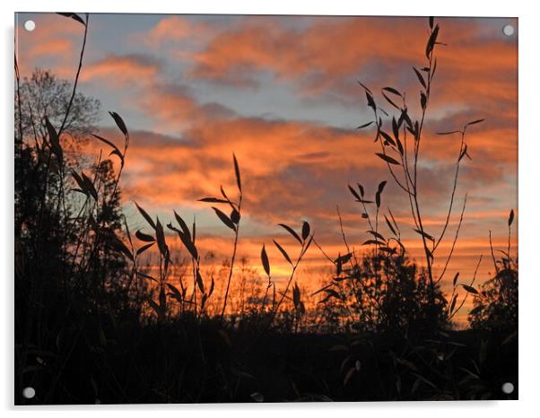 Sunset over Darlington Acrylic by Pauline Raine