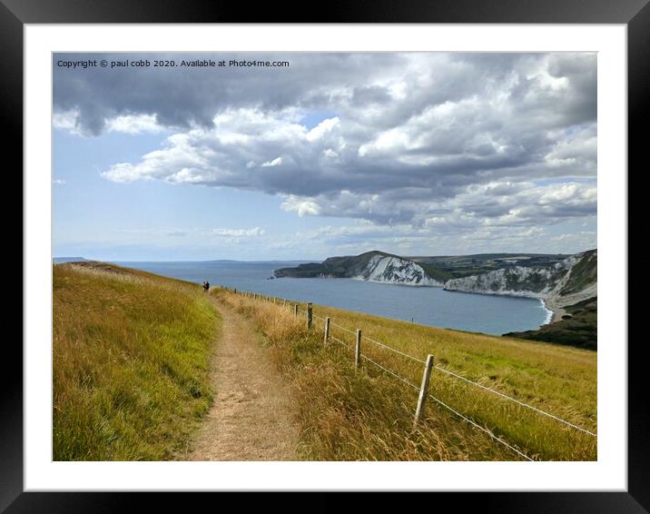 Across the coastal path. Framed Mounted Print by paul cobb