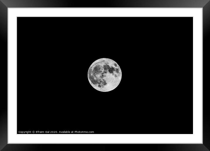 Our Moon  Framed Mounted Print by Efraim Gal